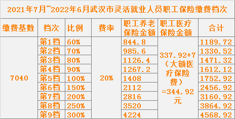 2023年7月-2024年6月武汉城镇职工社保缴费基数及档次（最新）